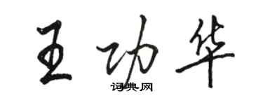 骆恒光王功华行书个性签名怎么写