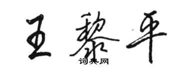 骆恒光王黎平行书个性签名怎么写