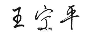骆恒光王宁平行书个性签名怎么写