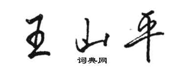 骆恒光王山平行书个性签名怎么写
