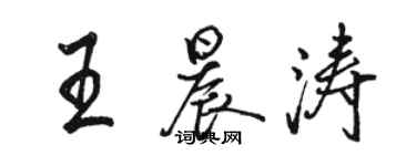 骆恒光王晨涛行书个性签名怎么写