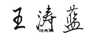 骆恒光王涛蓝行书个性签名怎么写