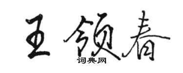 骆恒光王领春行书个性签名怎么写