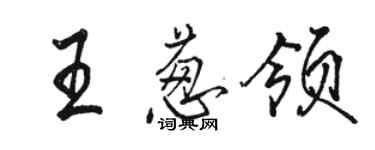 骆恒光王葱领行书个性签名怎么写