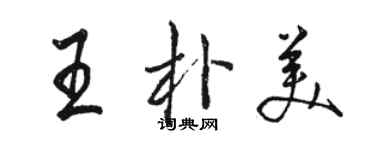 骆恒光王朴美行书个性签名怎么写