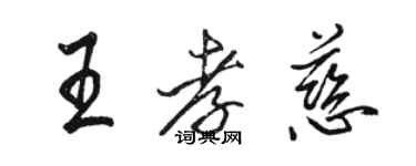 骆恒光王孝慈行书个性签名怎么写