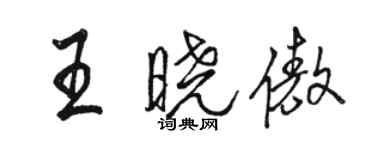 骆恒光王晓傲行书个性签名怎么写