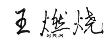 骆恒光王燃烧行书个性签名怎么写