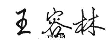 骆恒光王容林行书个性签名怎么写
