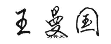 骆恒光王曼国行书个性签名怎么写