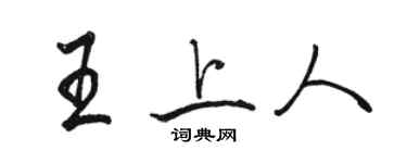 骆恒光王上人行书个性签名怎么写
