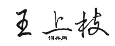 骆恒光王上枝行书个性签名怎么写
