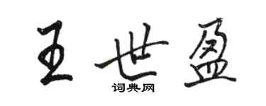 骆恒光王世盈行书个性签名怎么写