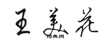 骆恒光王美花行书个性签名怎么写