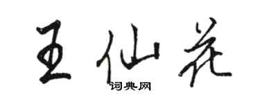 骆恒光王仙花行书个性签名怎么写