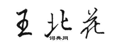 骆恒光王北花行书个性签名怎么写