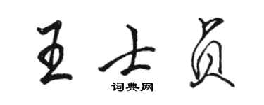 骆恒光王士贞行书个性签名怎么写