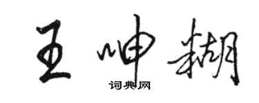 骆恒光王呻糊行书个性签名怎么写