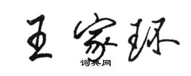 骆恒光王家环行书个性签名怎么写