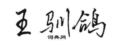 骆恒光王驯鸽行书个性签名怎么写
