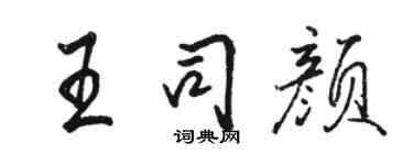 骆恒光王司颜行书个性签名怎么写