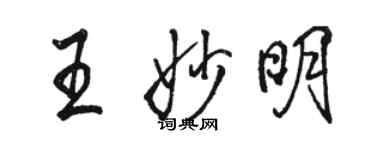 骆恒光王妙明行书个性签名怎么写