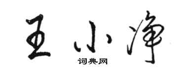 骆恒光王小净行书个性签名怎么写