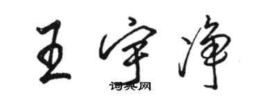 骆恒光王宇净行书个性签名怎么写