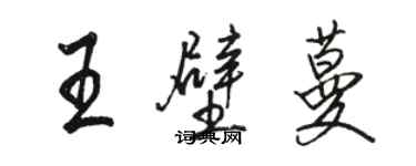 骆恒光王壁蔓行书个性签名怎么写