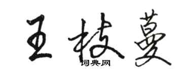 骆恒光王枝蔓行书个性签名怎么写