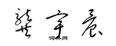 梁锦英龚宇晨草书个性签名怎么写