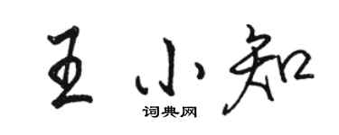 骆恒光王小知行书个性签名怎么写