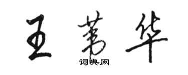 骆恒光王苇华行书个性签名怎么写