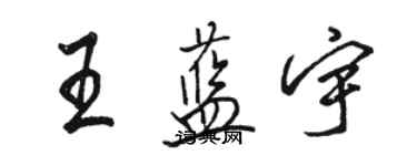 骆恒光王蓝宇行书个性签名怎么写