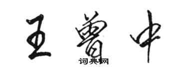 骆恒光王曾中行书个性签名怎么写