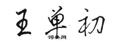 骆恒光王单初行书个性签名怎么写