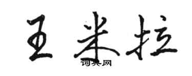 骆恒光王米拉行书个性签名怎么写