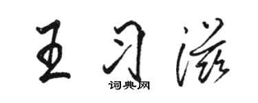骆恒光王习滋行书个性签名怎么写