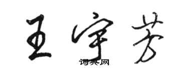 骆恒光王宇芳行书个性签名怎么写