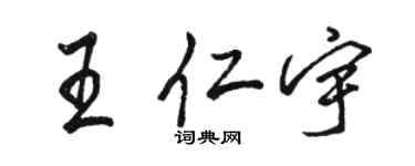 骆恒光王仁宇行书个性签名怎么写