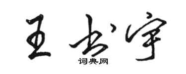 骆恒光王书宇行书个性签名怎么写