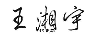 骆恒光王湘宇行书个性签名怎么写