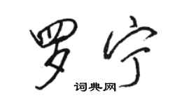 骆恒光罗宁行书个性签名怎么写