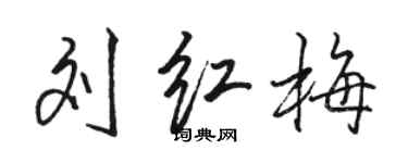 骆恒光刘红梅行书个性签名怎么写