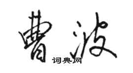 骆恒光曹波行书个性签名怎么写