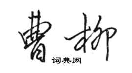 骆恒光曹柳行书个性签名怎么写