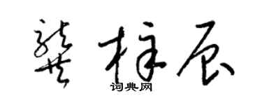 梁锦英龚梓辰草书个性签名怎么写