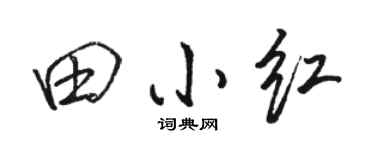 骆恒光田小红行书个性签名怎么写