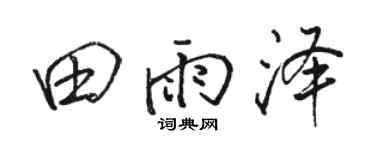 骆恒光田雨泽行书个性签名怎么写