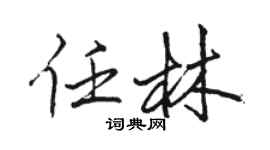骆恒光任林行书个性签名怎么写